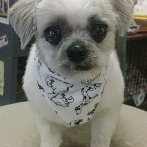 Meet your Posher, Marilyn